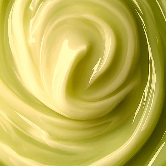 BLACK FRIDAY - VETERAN SIX PACK 